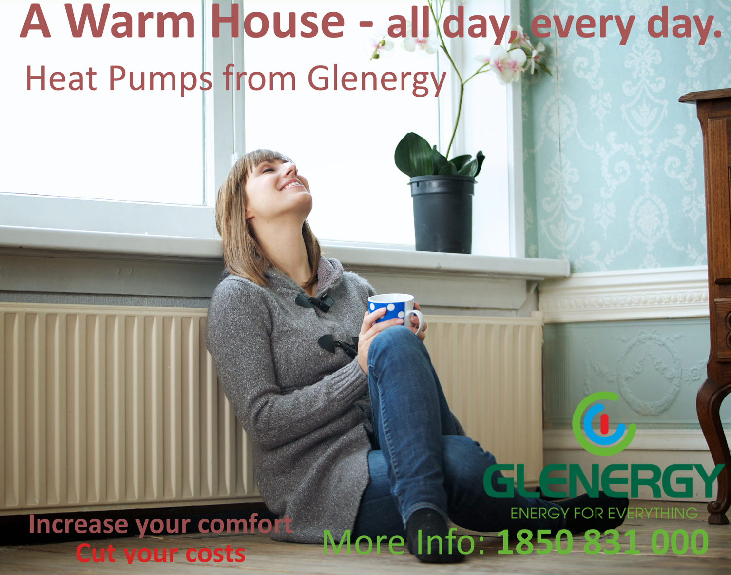 a warm house heat pumps warm a house